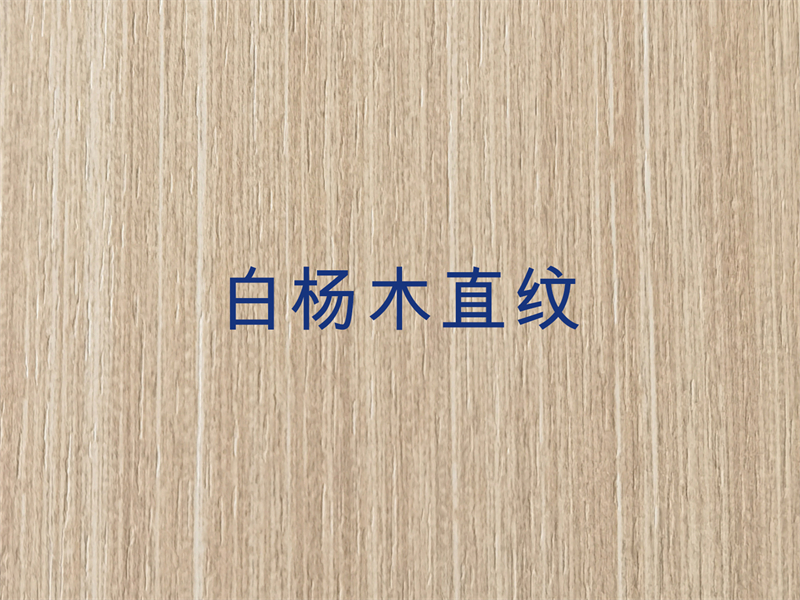 白楊木直紋.jpg